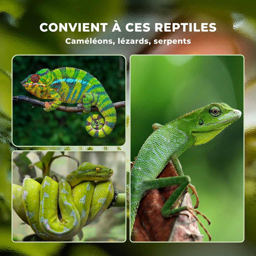 Terrarium en Aluminium Enclos en Maille pour Amphibiens Araignées et Reptiles 120 x 40 x 40 cm Blanc-6