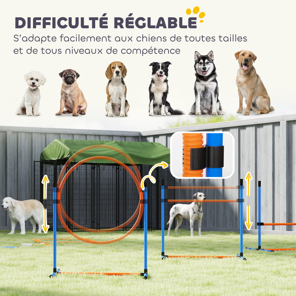 Ensemble d'Agilité pour Chien 11 Pièces, Parcours d'Obstacle avec 2 Tunnels, Sauts Ajustables, Orange et Bleu-5
