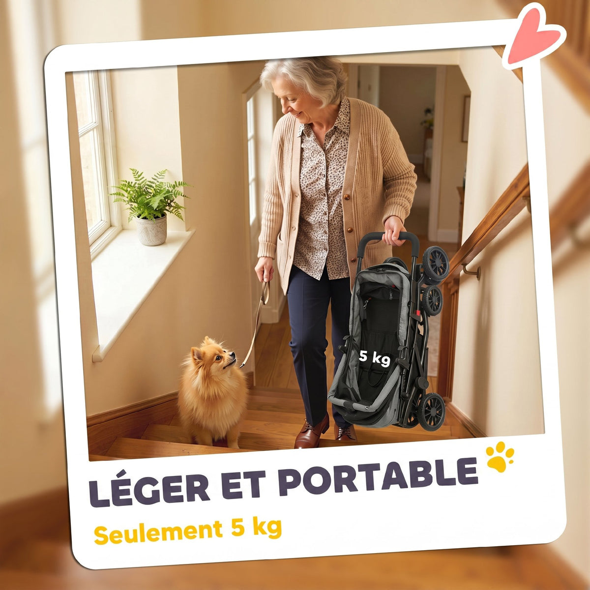 Poussette pour Chien Pliable, 4 Roues EVA, Fenêtres en Maille, Laisses de Sécurité, Coussin Amovible, 73x50x96cm, Gris-4