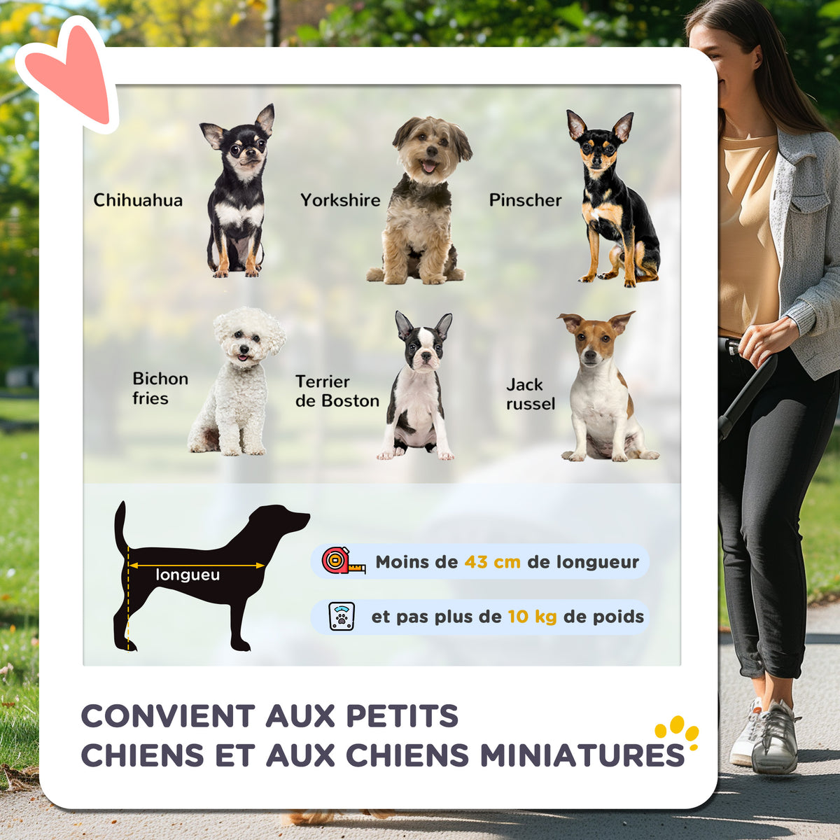 Poussette pour chien animaux de compagnie pliable 4 roues EVA guidon réglable panier 76,5 x 52 x 95 cm-3