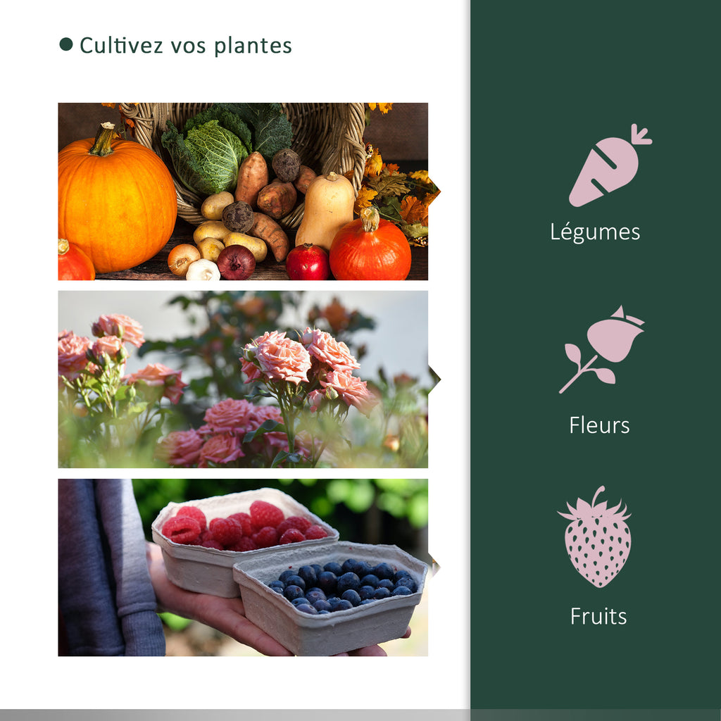 Serre de jardin mini serre serre à tomates 2 x 1 x 0,8 m porte zippée bâche PE acier vert-5