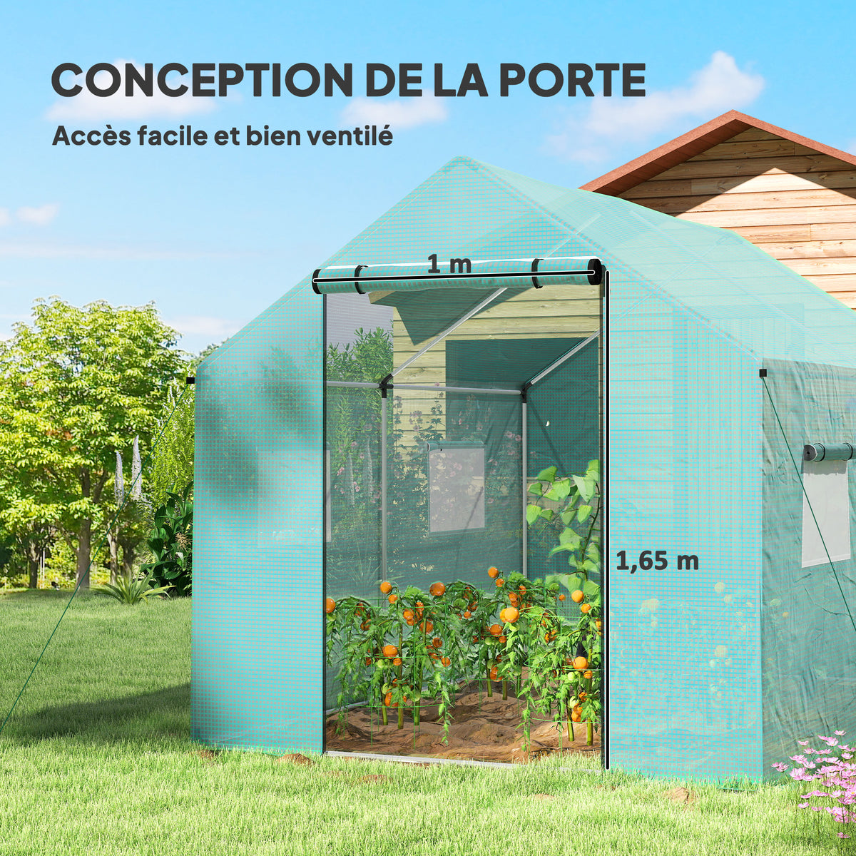 Serre de jardin tunnel 2 x 3m, 6m² avec porte enroulable, 4 fenêtres, - Acier galvanisé PE Haute densité Vert-4