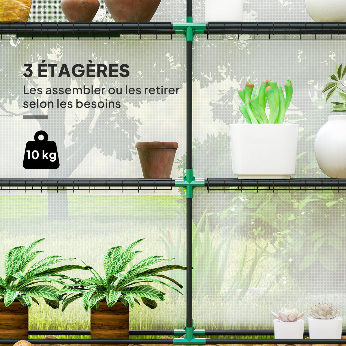 Serre de jardin 3 m² avec étagères 3 niveaux, PE renforcée 135 g/m² anti-UV, porte enroulable et fenêtres en maille-3